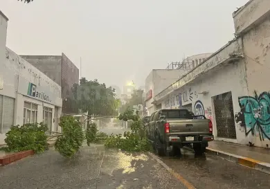 Lluvia derriba árbol en el Centro