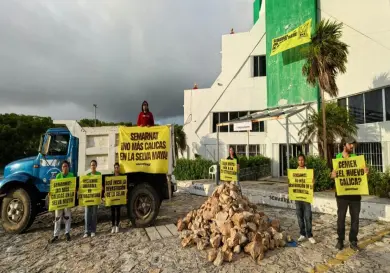 Greenpeace México toma las oficinas de la Semarnat