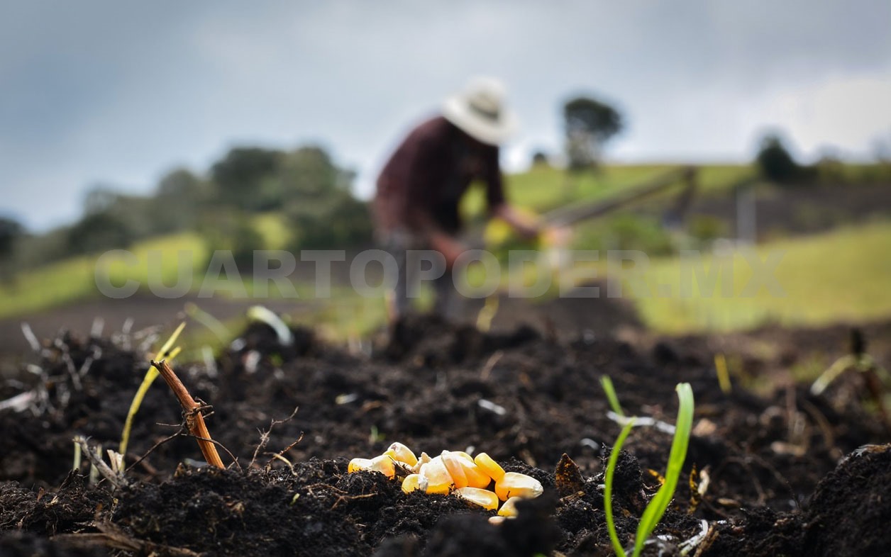 Exceso de fertilizantes genera contaminación ambiental