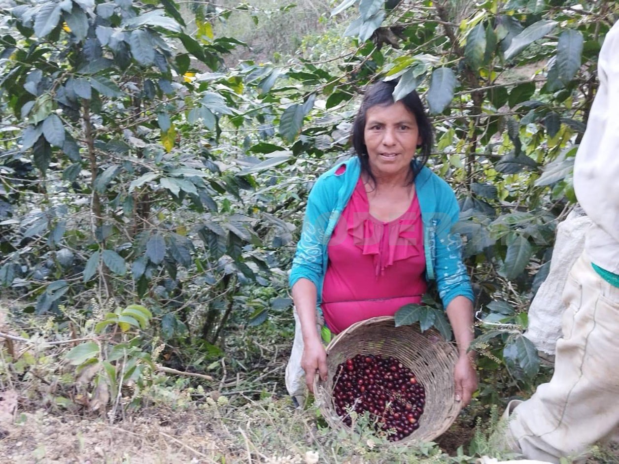 Viven 10 mil en un paraíso de Chiapas