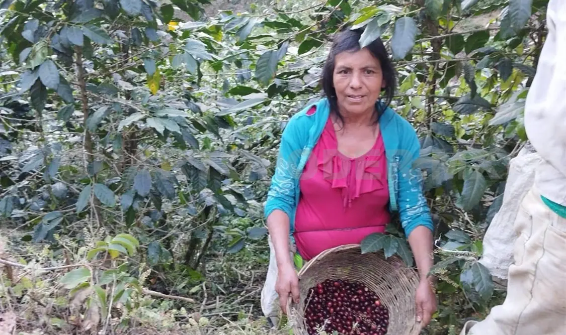 Las personas que habitan estos espacios son afortunados por su estancia prioritaria. CP