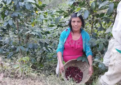 Viven 10 mil en un paraíso de Chiapas