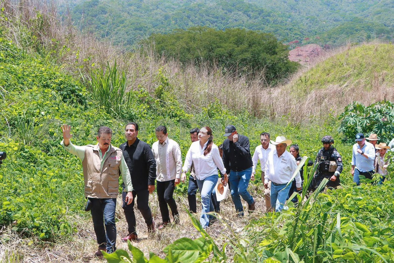 Supervisa gobernador trabajos de reforestación