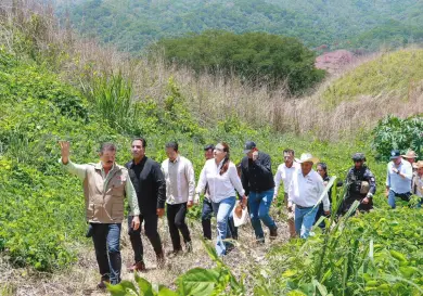 Supervisa gobernador trabajos de reforestación