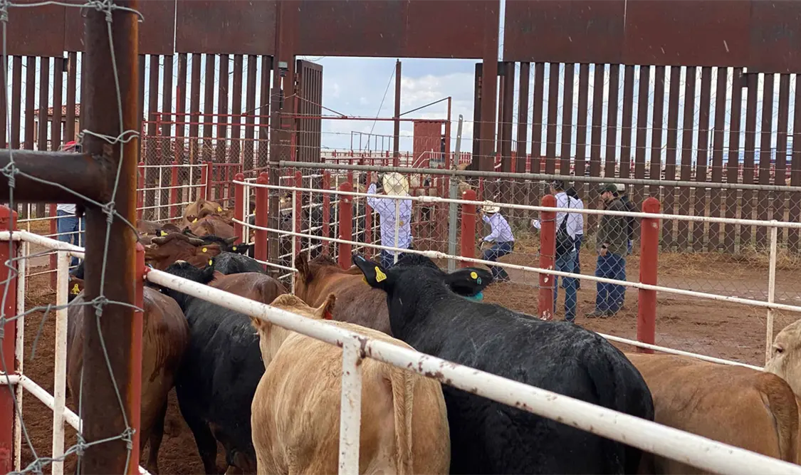 Se trata del tercer cierre en un periodo de apenas ocho meses y medio, mencionó el presidente de la Unión de ganaderos. Cortesía