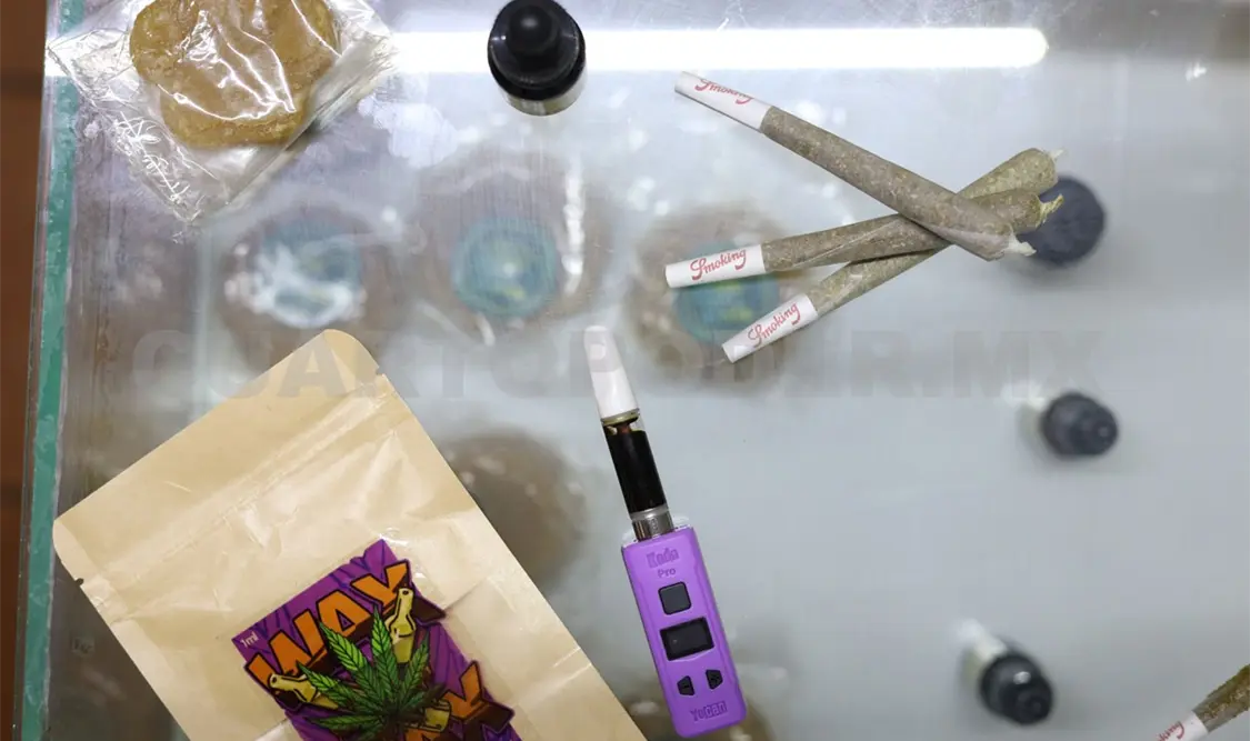 Avanza la legalización del cannabis en la entidad. Carlos López / CP