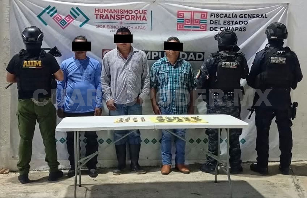 Detienen a cinco en posesión de marihuana