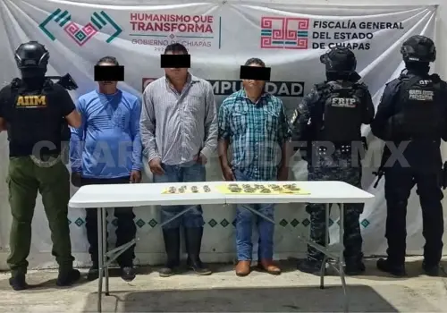 Detienen a cinco en posesión de marihuana