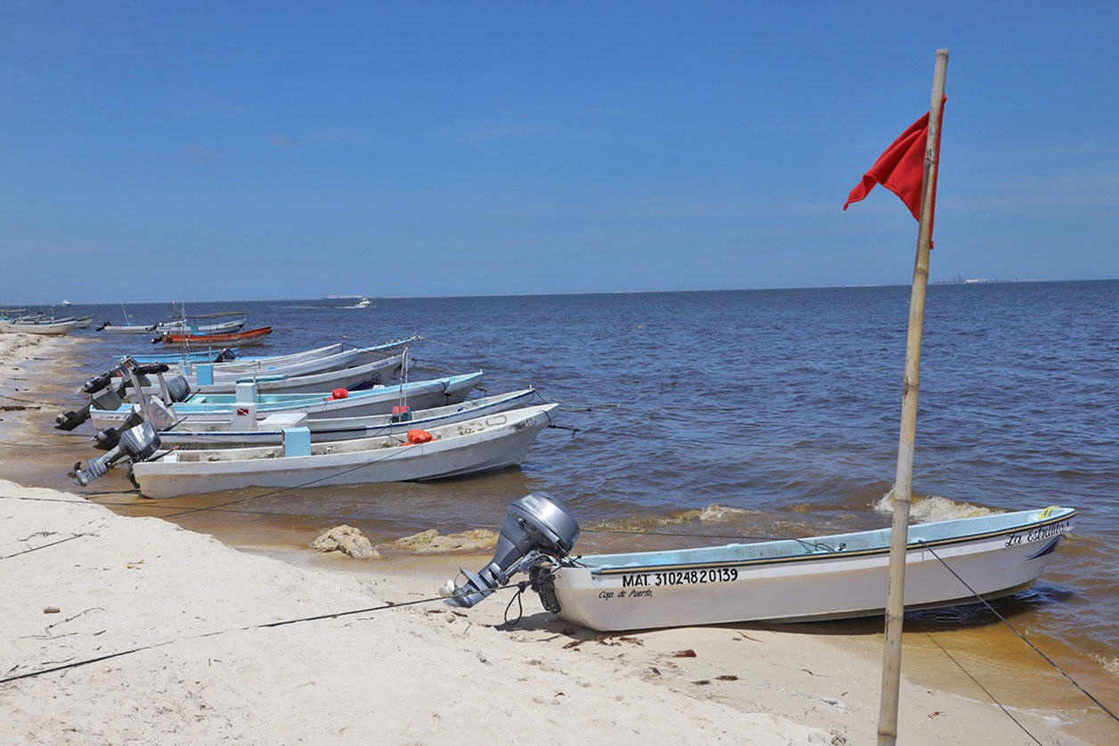 Descartan marea roja en costa de Yucatán