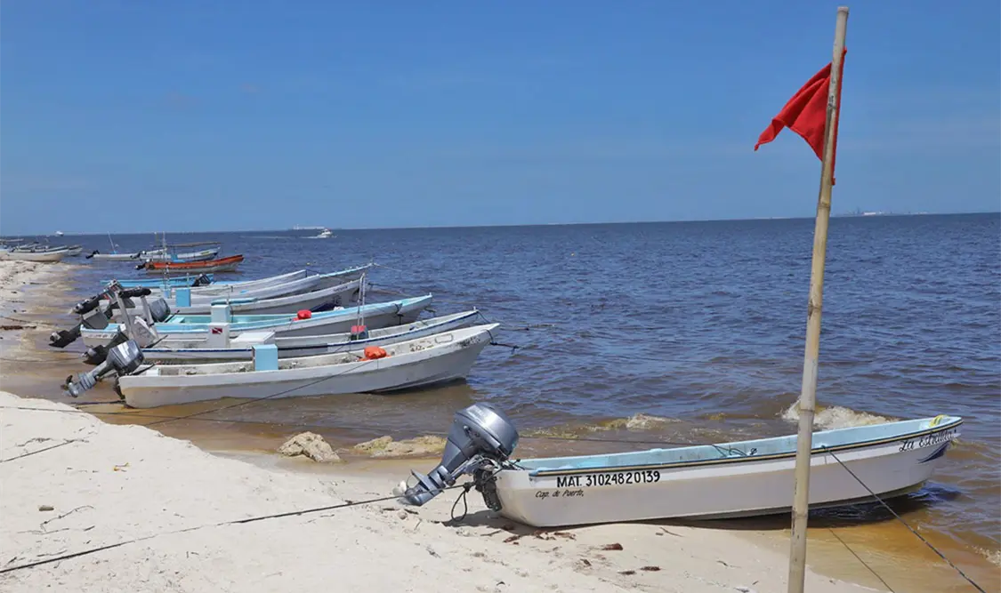 Tras los análisis realizados al manchón localizado frente a las costas de Dzilam de Bravo, no se detectó indicios de marea roja. Cortesía