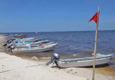 Descartan marea roja en costa de Yucatán