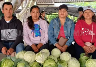 Tercer Tianguis Agroecológico, todo un éxito en Comitán