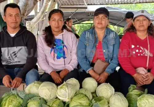 Tercer Tianguis Agroecológico, todo un éxito en Comitán