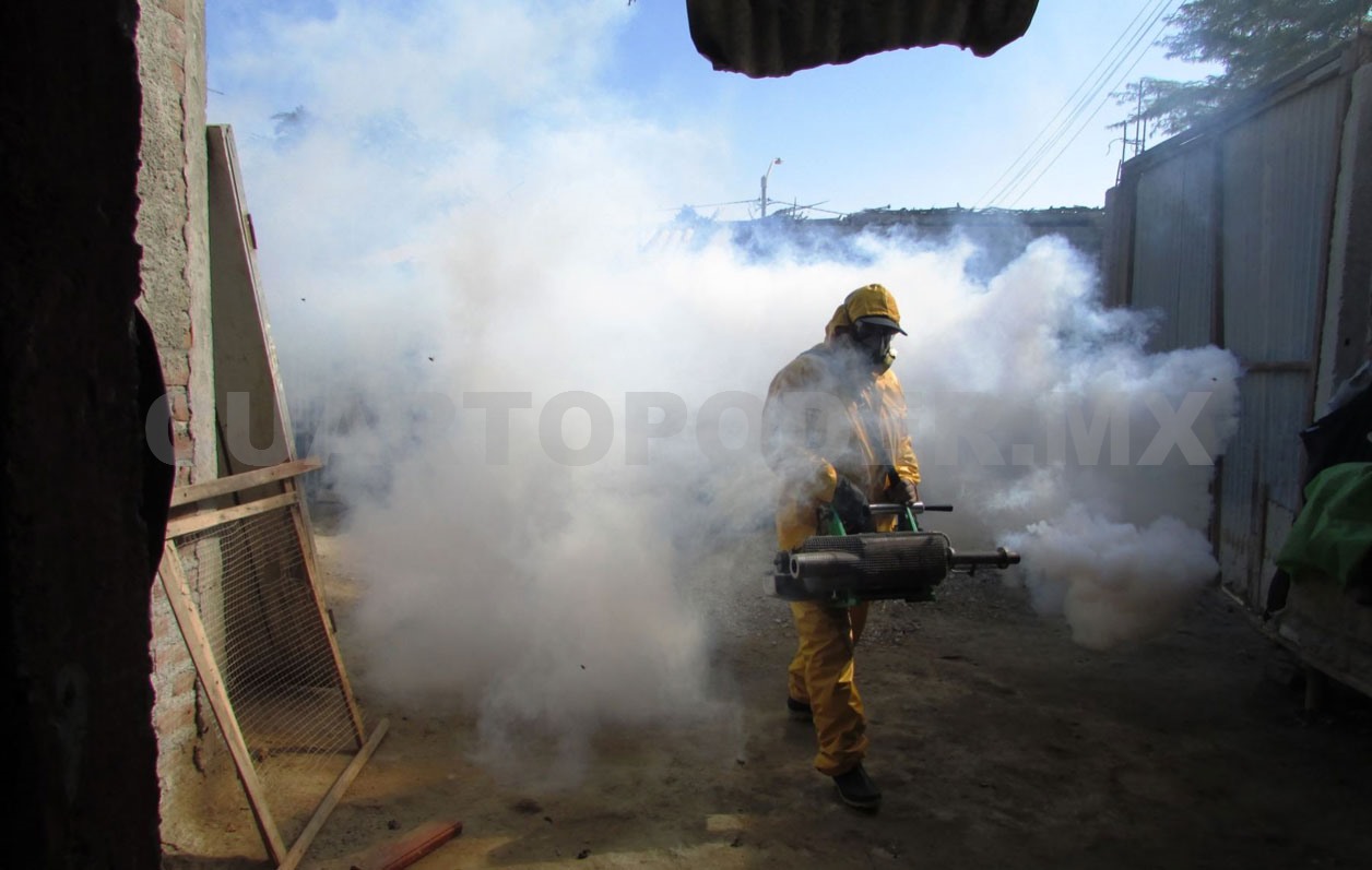 Más de 300 contagios por dengue y dos defunciones