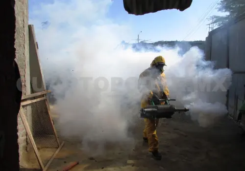 Más de 300 contagios por dengue y dos defunciones