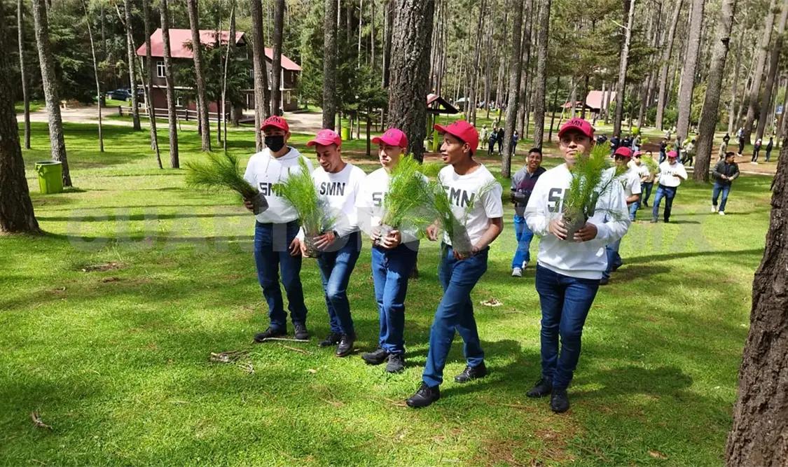 Realizaron la siembra de árboles nativos de la región. Cortesía