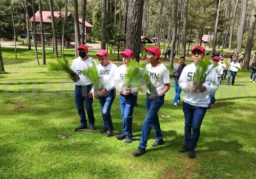 Reforestan las Grutas de Rancho Nuevo en SCLC