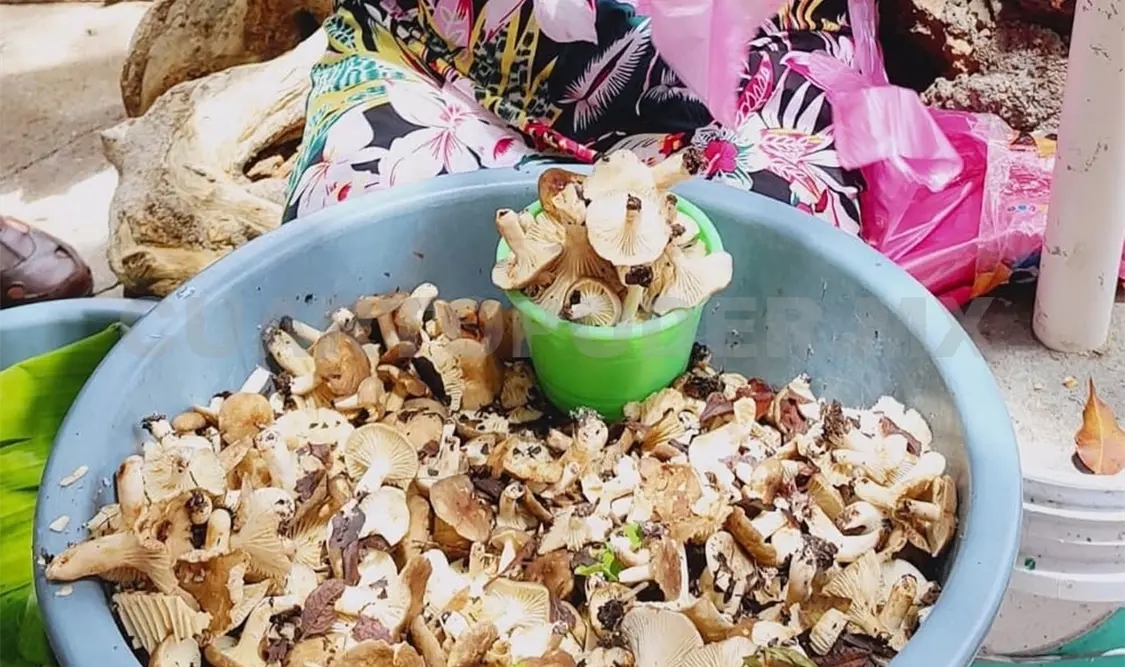 Una tradición culinaria que fortalece la identidad cultural zoque. Cortesía