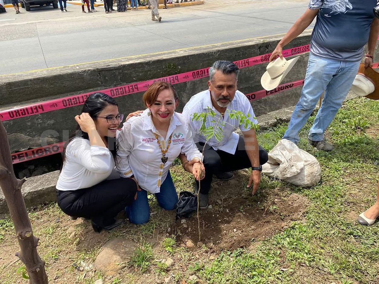 Trabajan para reforestar, sembrar vida y futuro