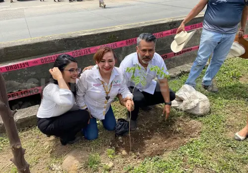 Trabajan para reforestar, sembrar vida y futuro