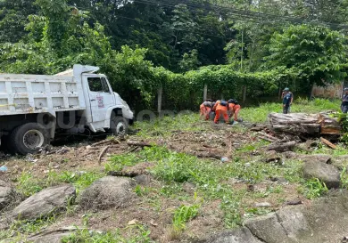 Vuelca camión de volteo e impacta en árbol