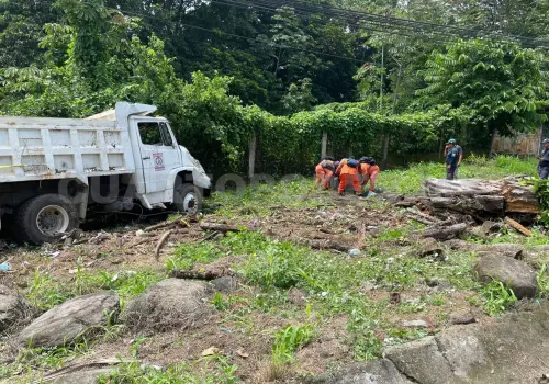 Vuelca camión de volteo e impacta en árbol