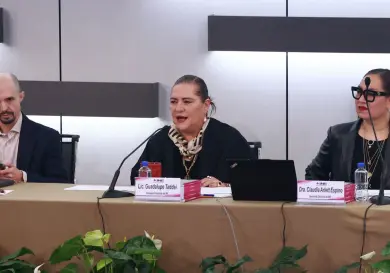 Elección de consejeros por voto popular preocupa