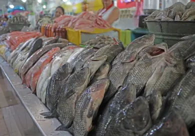 Lluvias generan escasez de pescado en la capital