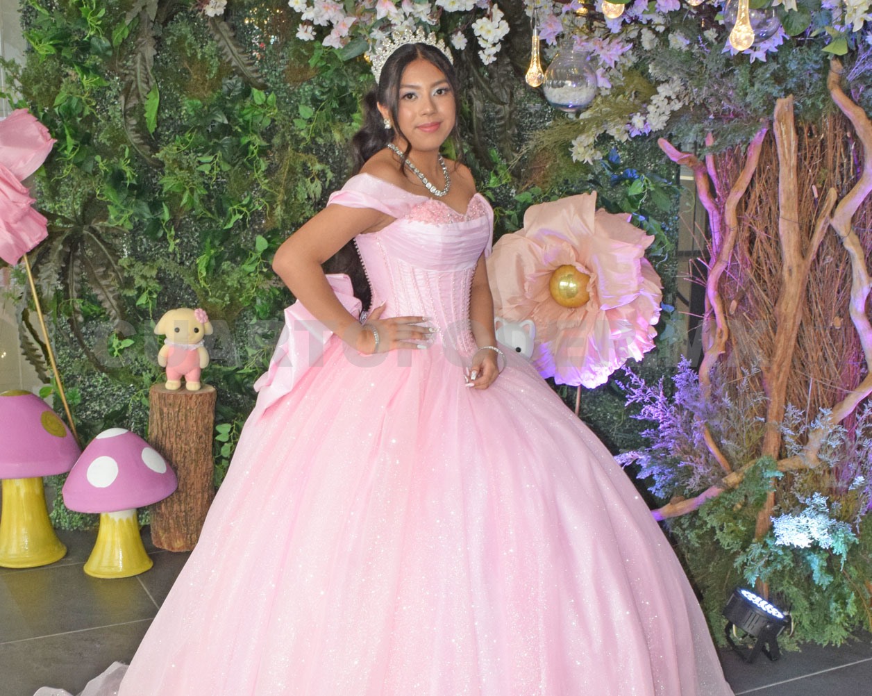 Los maravillosos quince de Valeria