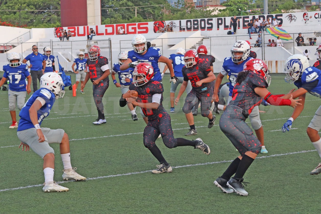Osos y Leones van por el campeonato