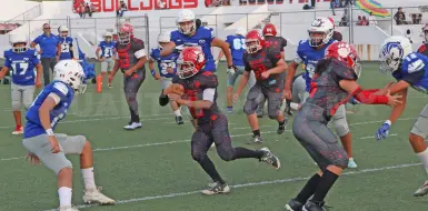 Osos y Leones van por el campeonato