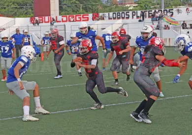 Osos y Leones van por el campeonato