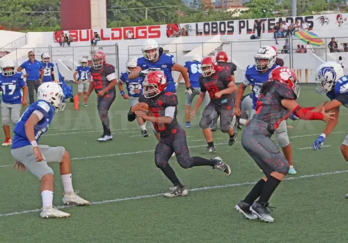 Osos y Leones van por el campeonato