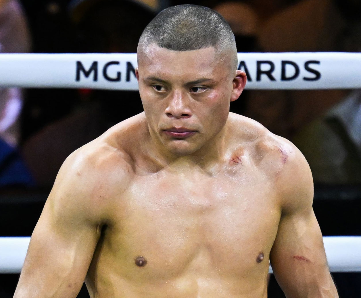 Se cancela revancha entre “Pitbull” y “Tashiro”
