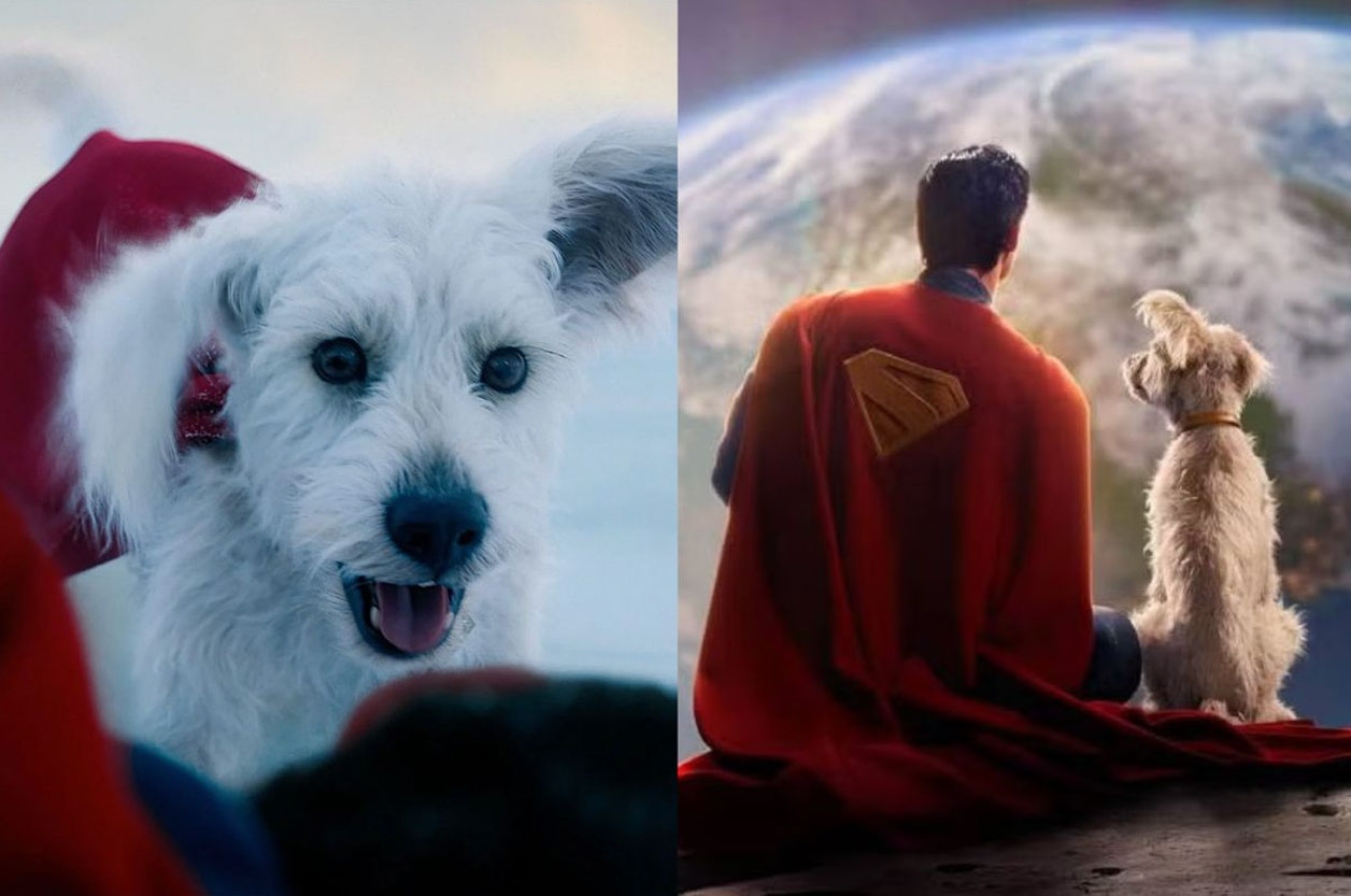 Adopciones se disparan gracias a Krypto