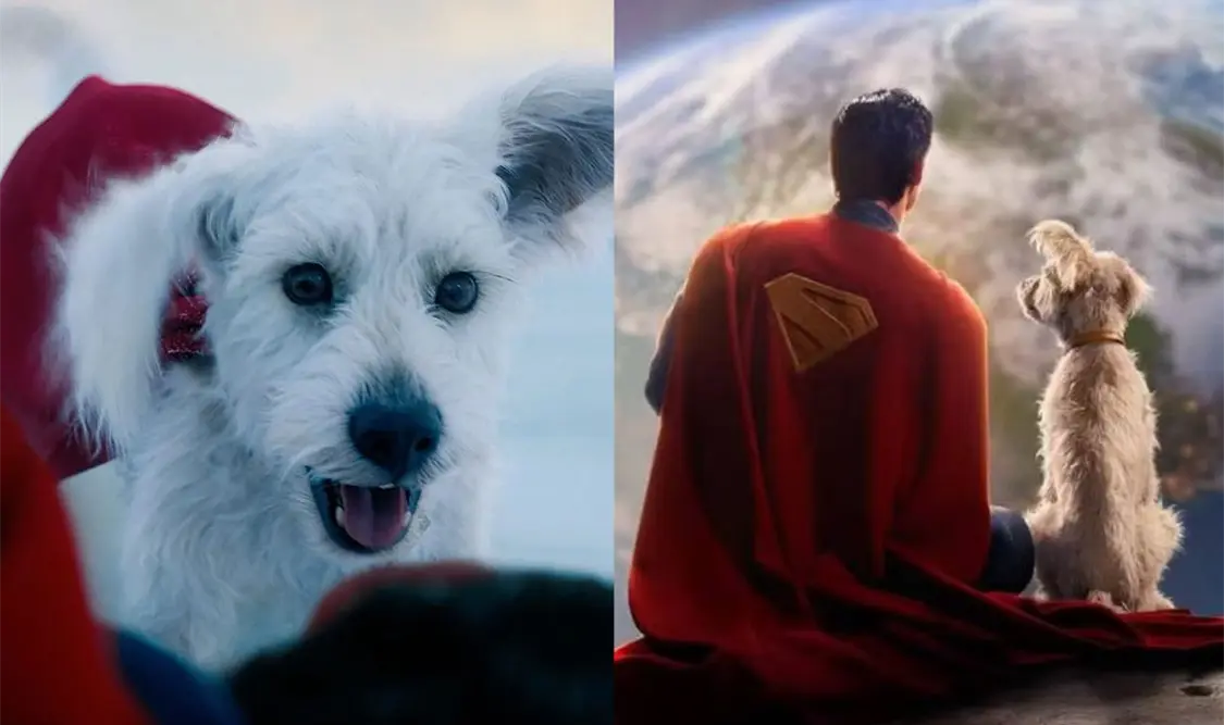 Adopciones se disparan gracias a Krypto