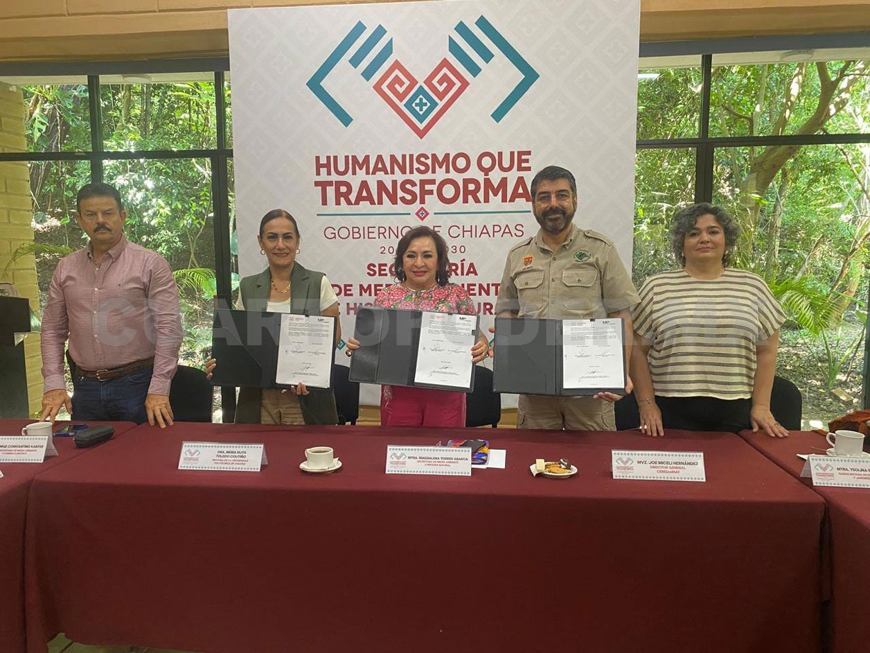 Un paso más por la educación ambiental