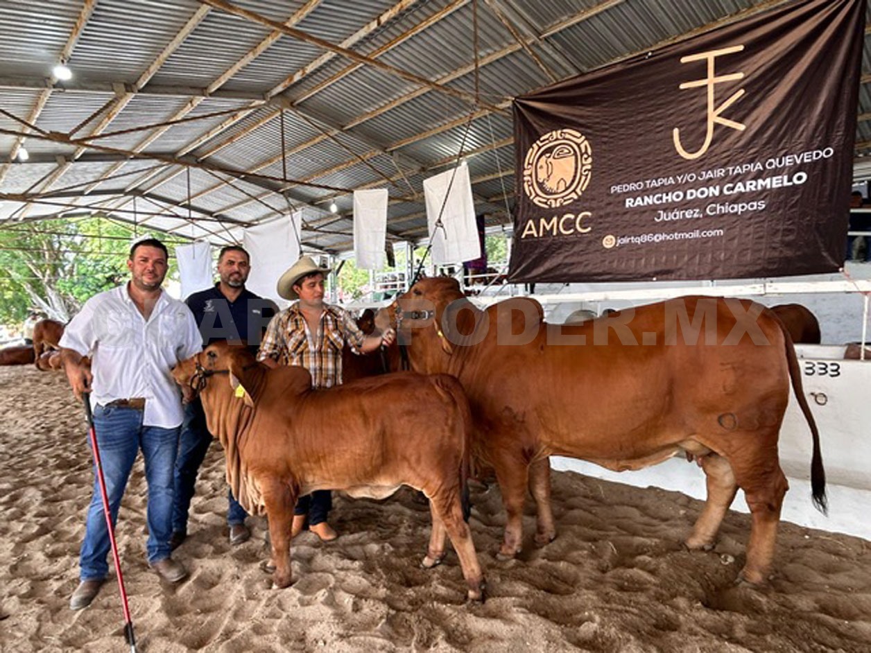 Inauguran Expo Nacional Brahman
