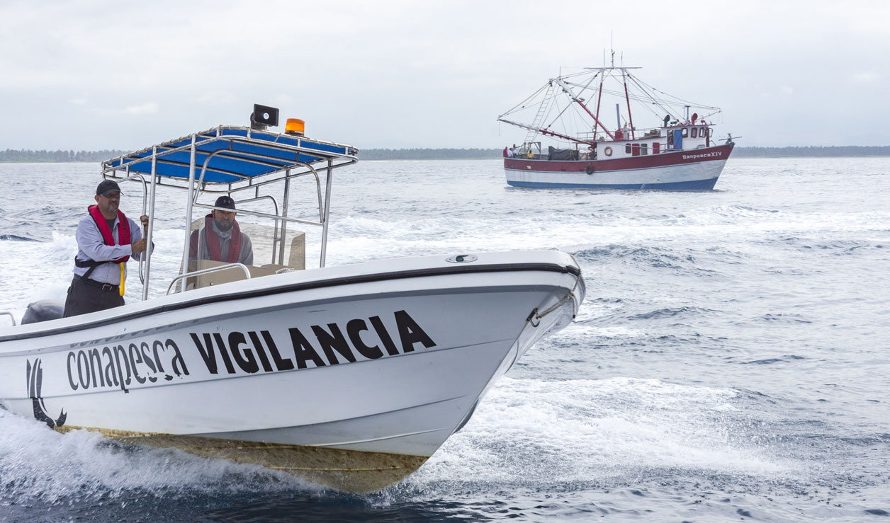 Fortalecen acciones contra pesca ilegal