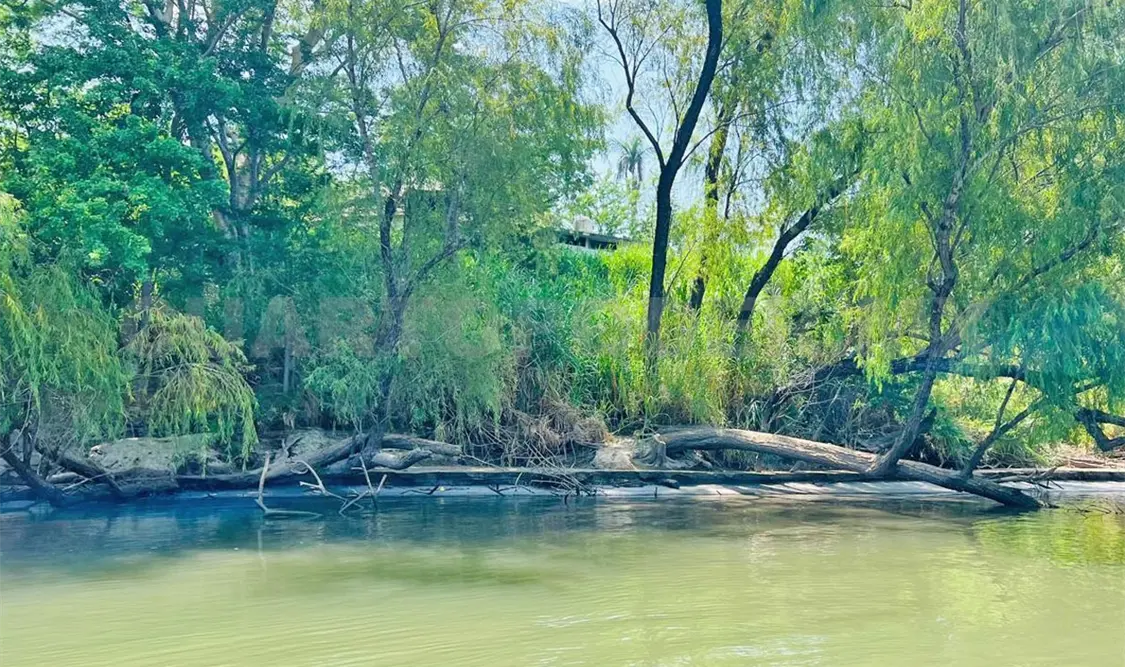 Aspecto de un playón de anidamiento de cocodrilos, a los que estarían llegando senderistas. Carlos López / CP