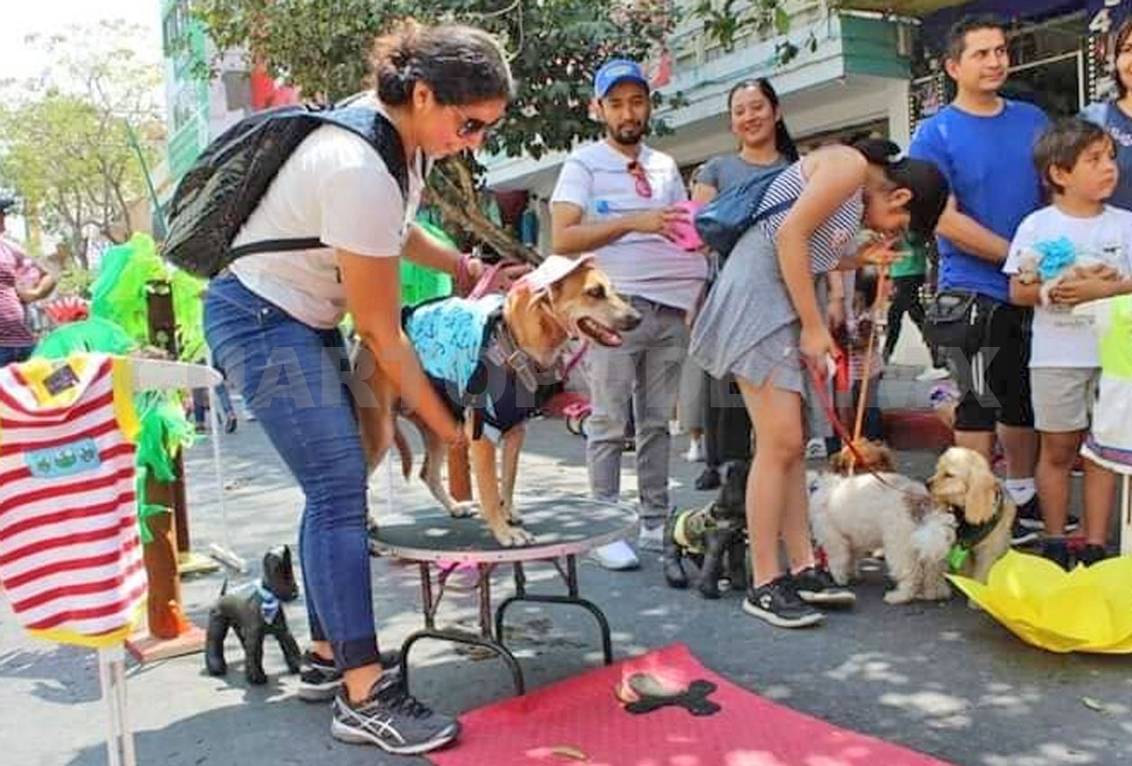 Tuxtla Recreativa fomenta la paz