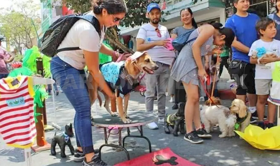 La avenida central de la capital chiapaneca será el punto de reunión para la ciudadanía. Cortesía