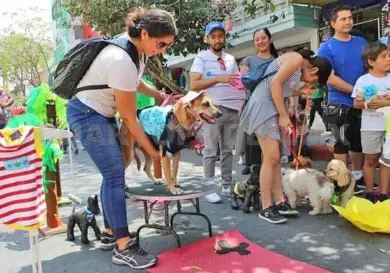 Tuxtla Recreativa fomenta la paz