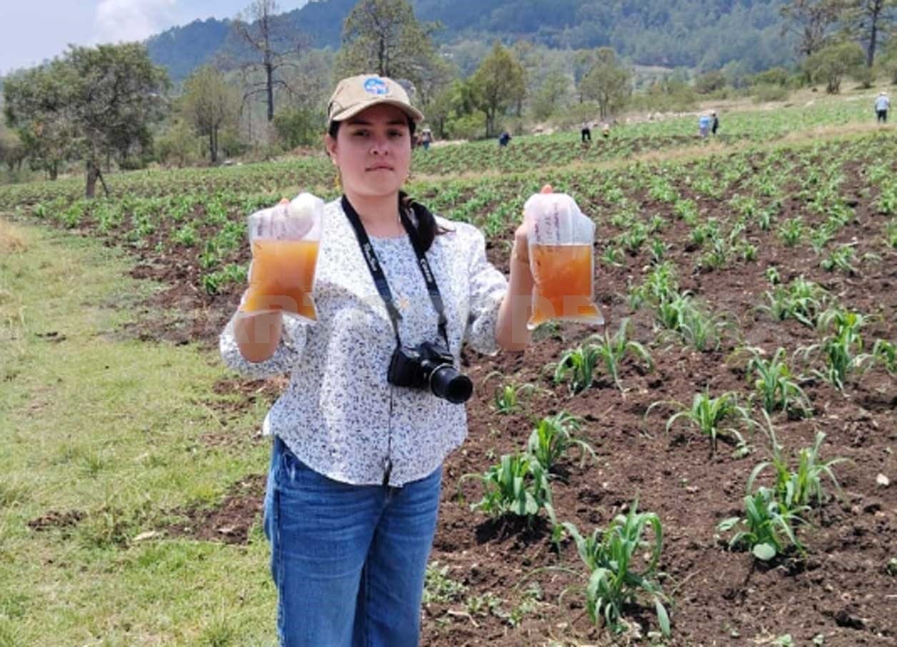 Prevalece la brecha de género en las ingenierías