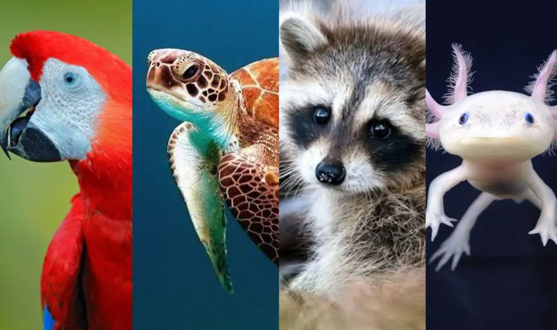 Animales en peligro de extinción en 2025