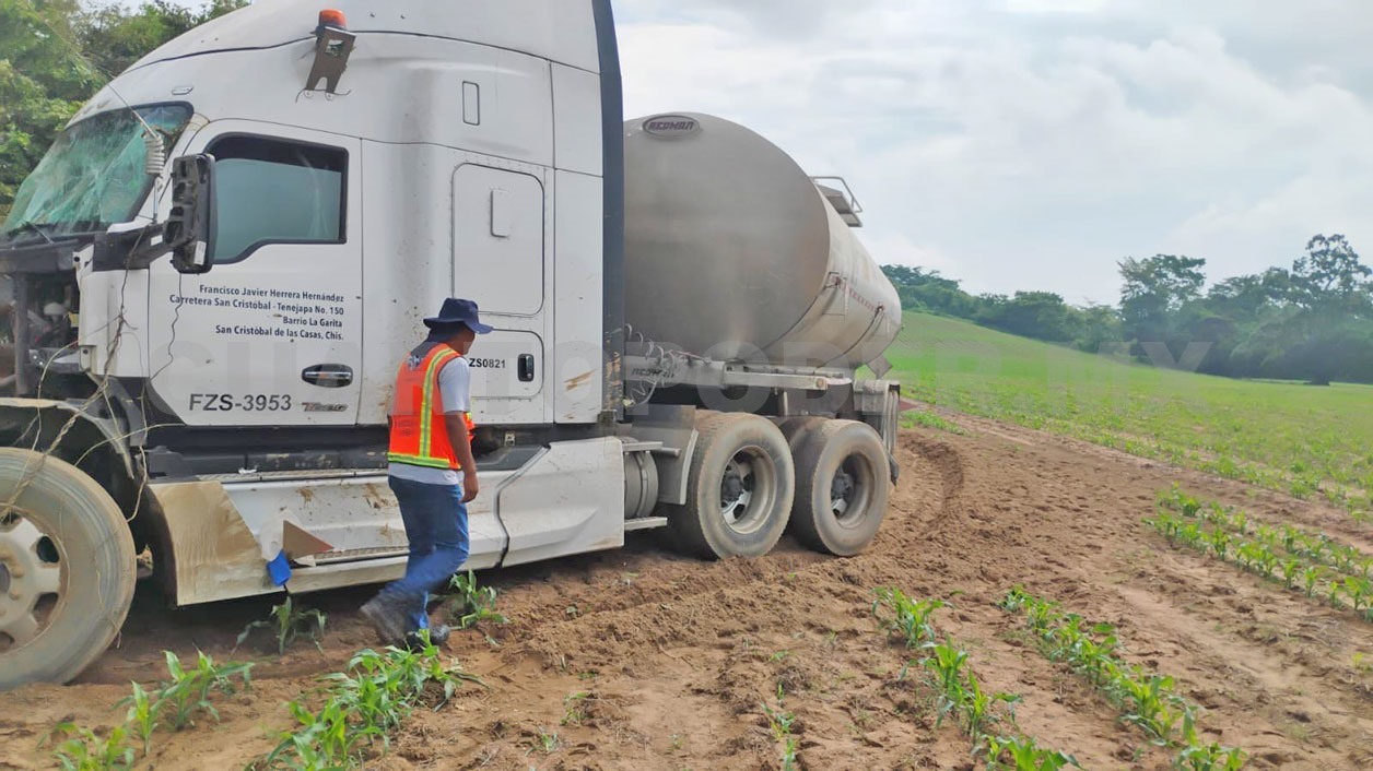 Tractocamión acaba varado entre cultivo de maíz