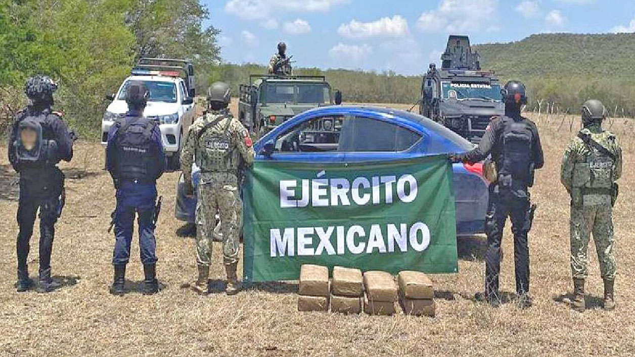 Dan duros golpes al crimen organizado