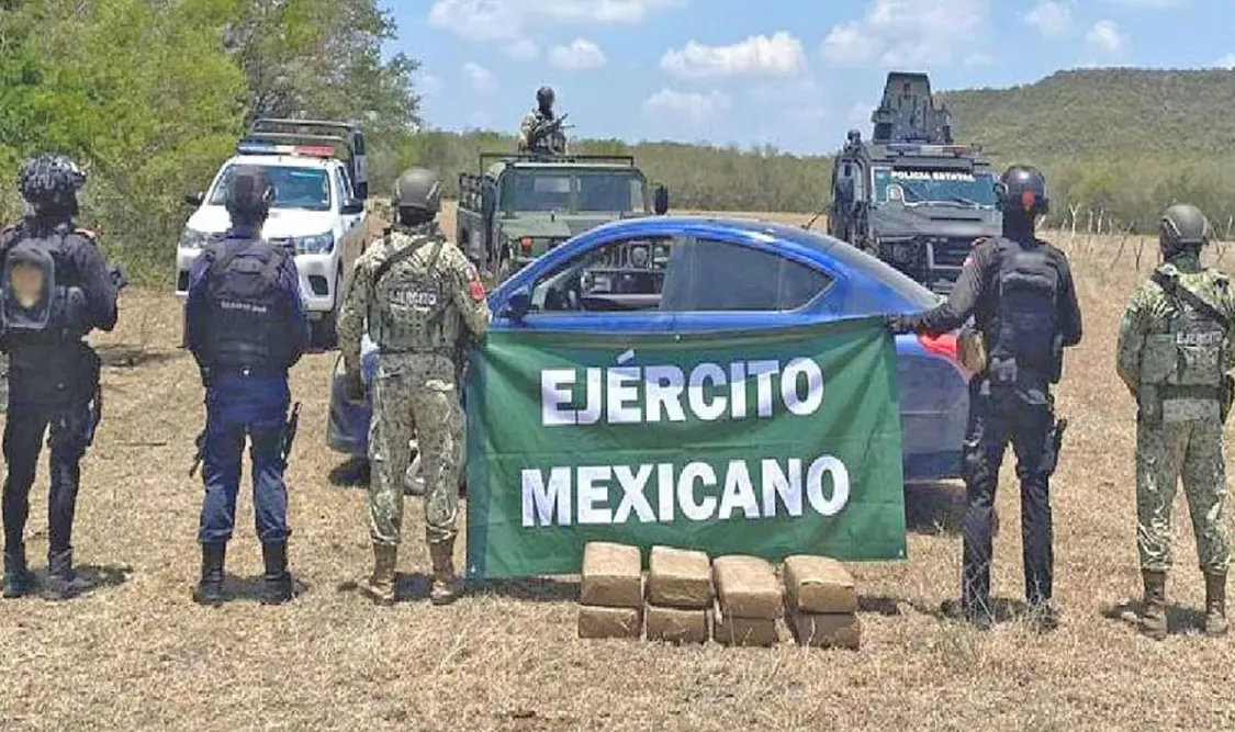 Incautan armas, drogas y vehículos del crimen organizado. Cortesía