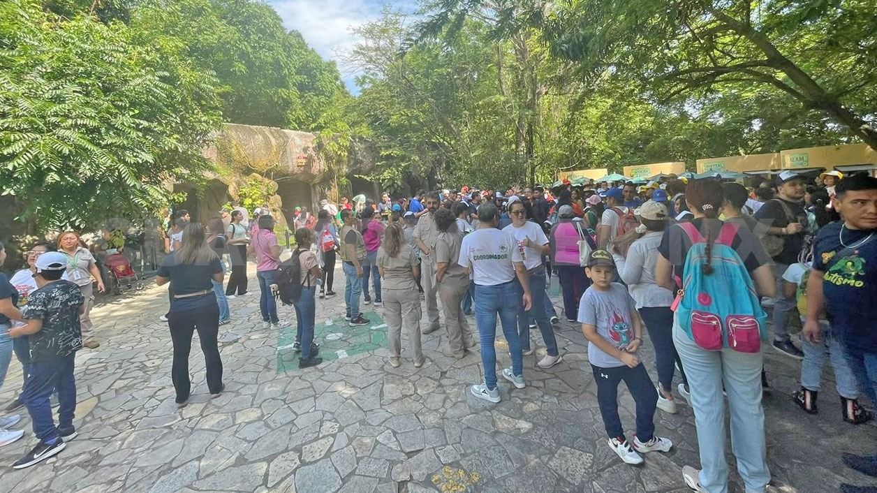 Miles aprovechan los martes gratis del ZooMAT