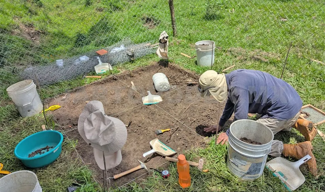 Durante los trabajos en la zona arqueológica se localizaron restos domésticos. Cortesía